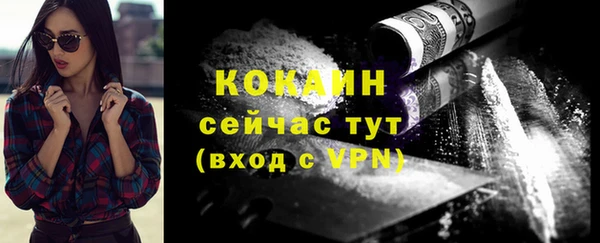 прущие грибы Абаза