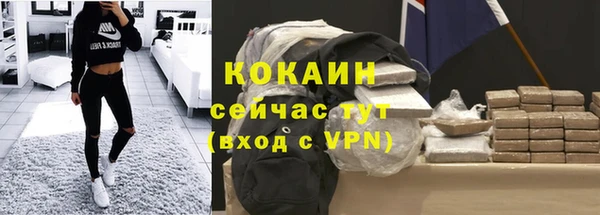 прущие грибы Абаза