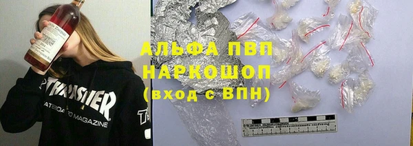 прущие грибы Абаза