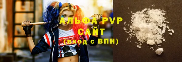 прущие грибы Абаза